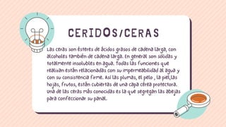 Las ceras son ésteres de ácidos grasos de cadena larga, con
alcoholes también de cadena larga. En general son sólidas y
totalmente insolubles en agua. Todas las funciones que
realizan están relacionadas con su impermeabilidad al agua y
con su consistencia firme. Así las plumas, el pelo , la piel,las
hojas, frutos, están cubiertas de una capa cérea protectora.
Una de las ceras más conocidas es la que segregan las abejas
para confeccionar su panal.
CERIDOS/CERAS
 