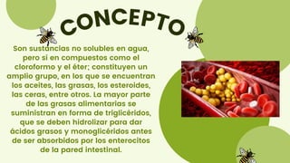 CONCEPTO
Son sustancias no solubles en agua,
pero sí en compuestos como el
cloroformo y el éter; constituyen un
amplio grupo, en los que se encuentran
los aceites, las grasas, los esteroides,
las ceras, entre otros. La mayor parte
de las grasas alimentarias se
suministran en forma de triglicéridos,
que se deben hidrolizar para dar
ácidos grasos y monoglicéridos antes
de ser absorbidos por los enterocitos
de la pared intestinal.
 