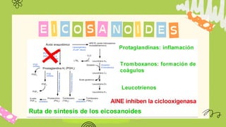 C
I O S A
E N O I D S
E
 