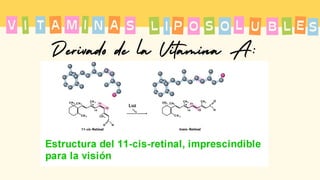 T A
I M
A I N
V L
S P
I S
O O L U B L S
E
Derivado de la Vitamina A:
 