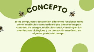 CONCEPTO
Estos compuestos desarrollan diferentes funciones tales
como: moléculas combustibles que almacenan gran
cantidad de energía, moléculas señal, constituyen las
membranas biológicas y de protección mecánica en
algunas partes del cuerpo.
 