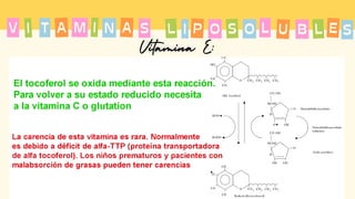 T A
I M
A I N
V L
S P
I S
O O L U B L S
E
Vitamina E:
 