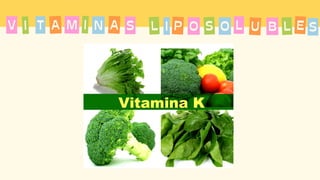 T A
I M
A I N
V L
S P
I S
O O L U B L S
E
 