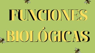 FUNCIONES
BIOLÓGICAS
FUNCIONES
BIOLÓGICAS
 
