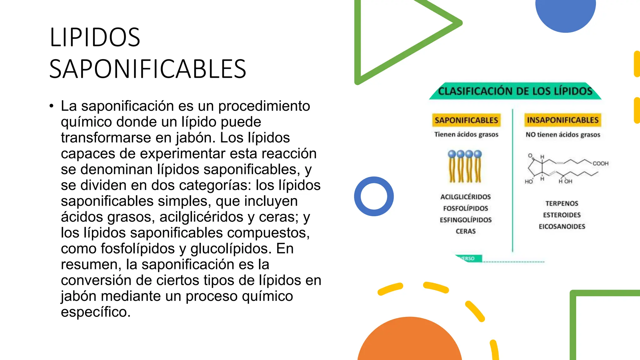 Lipidos de biologia concepto, clasificacion y adecuaciones | PPTX