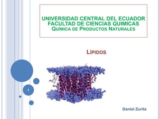 UNIVERSIDAD CENTRAL DEL ECUADOR
      FACULTAD DE CIENCIAS QUIMICAS
       QUÍMICA DE PRODUCTOS NATURALES



                  LÍPIDOS




1




                             Daniel Zurita
 