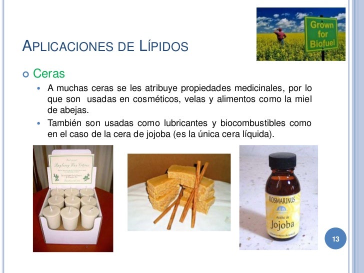 Uso De Lipidos En La Industria