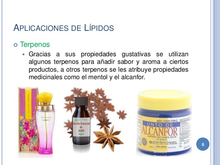 Lipids