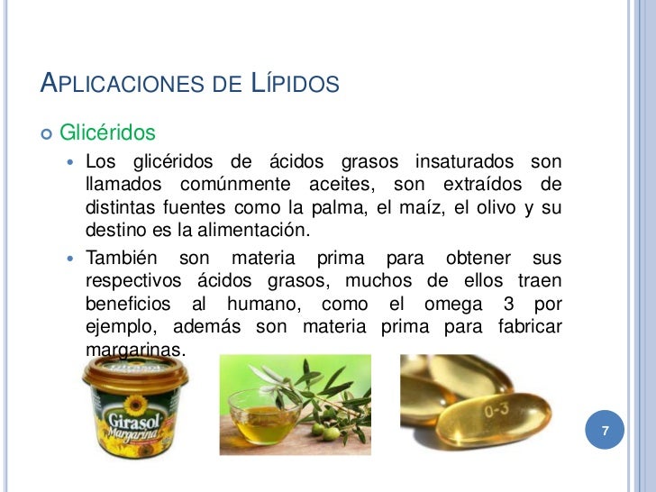 Lipids