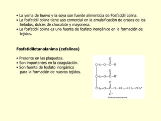 La yema de huevo y la soya son fuente alimenticia de Fosfatidil colina. La fosfatidil colina tiene uso comercial en la emulsificaci ó n de grasas de los  helados, dulces de chocolate y mayonesa. La fosfatidil colina es una fuente de fosfato inorg á nico en la formaci ó n de  tejidos. Fosfatidiletanolanima (cefalinas)  Presente en las plaquetas.  Son importantes en la coagulaci ó n.  Son fuente de fosfato inorg á nico para la formaci ó n de nuevos tejidos. 
