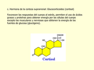 c. Hormona de la corteza suprarrenal: Glucocorticoides (cortisol) Favorecen las respuestas del cuerpo al estrés, permiten el uso de ácidos grasos y proteínas para obtener energía por las células del cuerpo excepto las musculares y nerviosas que obtienen la energía de las fuentes de glucosa (glucógeno). 