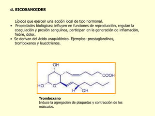 d. EICOSANOIDES Lípidos que ejercen una acción local de tipo hormonal. Propiedades biológicas: influyen en funciones de reproducción, regulan la  coagulación y presión sanguínea, participan en la generación de inflamación,  fiebre, dolor. Se derivan del ácido araquidónico. Ejemplos: prostaglandinas,  tromboxanos y leucotrienos. Tromboxano Induce la agregación de plaquetas y contracción de los músculos. 