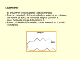 Leucotrienos Se encuentran en los leucocitos (glóbulos blancos). Provocan constricción de los músculos lisos a nivel de los pulmones,  con ataques de asma, las reacciones alérgicas (reacción al  polen) facilitan la síntesis de leucotrieno C. Poseen propiedades inflamatorias, pueden intervenir en la artritis  reumatoidea. Leucotrieno C 
