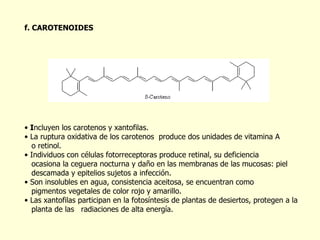 f. CAROTENOIDES I ncluyen los carotenos y xantofilas. La ruptura oxidativa de los carotenos  produce dos unidades de vitamina A  o retinol. Individuos con células fotorreceptoras produce retinal, su deficiencia  ocasiona la ceguera nocturna y daño en las membranas de las mucosas: piel  descamada y epitelios sujetos a infección.  Son insolubles en agua, consistencia aceitosa, se encuentran como  pigmentos vegetales de color rojo y amarillo.  Las xantofilas participan en la fotosíntesis de plantas de desiertos, protegen a la  planta de las  radiaciones de alta energía. 