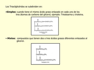 Los Triacilglic é ridos se subdividen en: Simples:  cuando tiene el mismo ácido graso enlazado en cada uno de los tres átomos de carbono del glicerol, ejemplo: Triestearina y trioleina. Mixtos:   compuestos que tienen dos o tres ácidos grasos diferentes enlazados al  glicerol. 