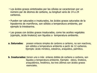 a. Saturados :  poseen enlaces simples de carbono a carbono, no son reactivos,    son sólidos a temperatura ambiente a partir de 12 carbonos.    Ejemplo: ácido mir í stico, esteárico, araqu í dico, palm í tico. b .  Insaturados:  tienen uno o más  enlaces dobles de carbono a carbono, son  líquidos a temperatura ambiente. Ejemplo:  oleico, linoleico,  araquid ó nico, linol é nico, los tres últimos son ácidos grasos    esenciales. Los ácidos grasos sintetizados por las células se caracterizan por un  número par de átomos de carbono, su longitud varía de 14 a 24  carbonos.  Pueden ser saturados e insaturados, los  ácidos grasos saturados de la  hipodermis de mamíferos, son sólidos a temperatura ambiente, por  ejemplo la triestearina.  Las grasas con ácidos grasos insaturados, como los aceites vegetales  (ejemplo, ácido linoleico) son líquidos a  temperatura ambiente.  