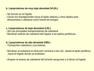 b. Lipoproteínas de muy baja densidad (VLDL) Se forman en el hígado. Llevan los triacilgliceroles hacia el tejido adiposo y otros tejidos para  almacenarse o utilizarse como fuente de energía. c. Lipoproteínas de baja densidad (LDL) Son las principales transportadoras de colesterol Movilizan esteres de colesterol del hígado a los tejidos periféricos. d. Lipoproteínas de alta densidad (HDL) Transportan colesterol y sus ésteres. Movilizan al colesterol en dirección contraria a las LDL, desde el tejido periférico hacia el hígado donde se sintetizan. Atrapan el exceso de colesterol del torrente sanguíneo y lo llevan al hígado 
