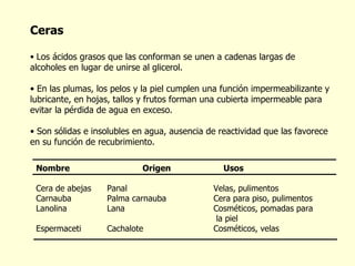 Ceras L os ácidos grasos que las conforman se unen a cadenas largas de alcoholes en lugar de unirse al glicerol.  En las  plumas, los pelos y la piel cumplen una función impermeabilizante y lubricante, en hojas, tallos y frutos forman una cubierta impermeable para evitar la pérdida de agua en exceso. Son sólidas e insolubles en agua, ausencia de reactividad que las favorece en su función de recubrimiento. Nombre  Origen   Usos Cera de abejas Panal   Velas, pulimentos Carnauba Palma carnauba   Cera para piso, pulimentos Lanolina Lana   Cosméticos, pomadas para     la piel Espermaceti Cachalote Cosméticos, velas 