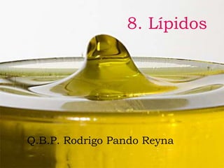 8. Lípidos




Q.B.P. Rodrigo Pando Reyna.
 