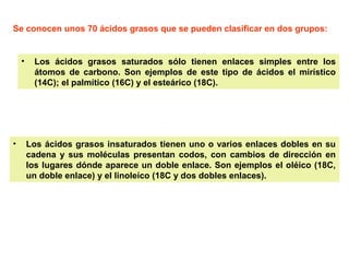 Se conocen unos 70 ácidos grasos que se pueden clasificar en dos grupos: 
• Los ácidos grasos saturados sólo tienen enlaces simples entre los 
átomos de carbono. Son ejemplos de este tipo de ácidos el mirístico 
(14C); el palmítico (16C) y el esteárico (18C). 
• Los ácidos grasos insaturados tienen uno o varios enlaces dobles en su 
cadena y sus moléculas presentan codos, con cambios de dirección en 
los lugares dónde aparece un doble enlace. Son ejemplos el oléico (18C, 
un doble enlace) y el linoleíco (18C y dos dobles enlaces). 
 