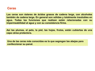 Ceras 
Las ceras son ésteres de ácidos grasos de cadena larga, con alcoholes 
también de cadena larga. En general son sólidas y totalmente insolubles en 
agua. Todas las funciones que realizan están relacionadas con su 
impermeabilidad al agua y con su consistencia firme. 
Así las plumas, el pelo, la piel, las hojas, frutos, están cubiertas de una 
capa cérea protectora. 
Una de las ceras más conocidas es la que segregan las abejas para 
confeccionar su panal. 
 