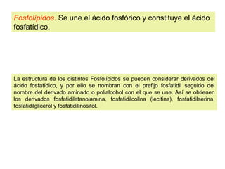 Fosfolípidos. Se une el ácido fosfórico y constituye el ácido 
fosfatídico. 
La estructura de los distintos Fosfolípidos se pueden considerar derivados del 
ácido fosfatídico, y por ello se nombran con el prefijo fosfatidil seguido del 
nombre del derivado aminado o polialcohol con el que se une. Así se obtienen 
los derivados fosfatidiletanolamina, fosfatidilcolina (lecitina), fosfatidilserina, 
fosfatidilglicerol y fosfatidilinositol. 
 