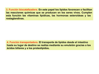 3. Función biocatalizadora. En este papel los lípidos favorecen o facilitan 
las reacciones químicas que se producen en los seres vivos. Cumplen 
esta función las vitaminas lipídicas, las hormonas esteroideas y las 
rostaglandinas. 
4. Función transportadora. El transporte de lípidos desde el intestino 
hasta su lugar de destino se realiza mediante su emulsión gracias a los 
ácidos biliares y a los proteolípidos. 
 
