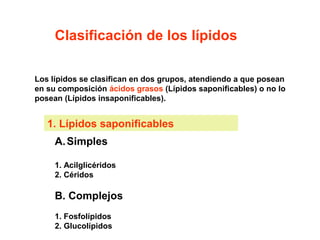Clasificación de los lípidos 
Los lípidos se clasifican en dos grupos, atendiendo a que posean 
en su composición ácidos grasos (Lípidos saponificables) o no lo 
posean (Lípidos insaponificables). 
1. Lípidos saponificables 
A. Simples 
1. Acilglicéridos 
2. Céridos 
B. Complejos 
1. Fosfolípidos 
2. Glucolípidos 
 