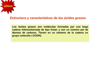 Estructura y características de los ácidos grasos 
Los ácidos grasos son moléculas formadas por una larga 
cadena hidrocarbonada de tipo lineal, y con un número par de 
átomos de carbono. Tienen en un extremo de la cadena un 
grupo carboxilo (-COOH). 
 