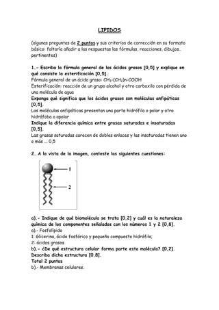 LIPIDOS

(algunas preguntas de 2 puntos y sus criterios de corrección en su formato
básico: faltaría añadir a las respuestas las fórmulas, reacciones, dibujos..
pertinentes)

1.- Escriba la fórmula general de los ácidos grasos [0,5] y explique en
qué consiste la esterificación [0,5].
Fórmula general de un ácido graso: CH3-(CH2)n-COOH
Esterificación: reacción de un grupo alcohol y otro carboxilo con pérdida de
una molécula de agua
Exponga qué significa que los ácidos grasos son moléculas anfipáticas
[0,5].
Las moléculas anfipáticas presentan una parte hidrófila o polar y otra
hidrófoba o apolar
Indique la diferencia química entre grasas saturadas e insaturadas
[0,5].
Las grasas saturadas carecen de dobles enlaces y las insaturadas tienen uno
o más ... 0,5

2. A la vista de la imagen, conteste las siguientes cuestiones:




a).- Indique de qué biomolécula se trata [0,2] y cuál es la naturaleza
química de los componentes señalados con los números 1 y 2 [0,8].
a).- Fosfolípido
1: Glicerina, ácido fosfórico y pequeño compuesto hidrófilo;
2: ácidos grasos
b).- ¿De qué estructura celular forma parte esta molécula? [0,2].
Describa dicha estructura [0,8].
Total 2 puntos
b).- Membranas celulares.
 