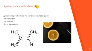 Lipidos Insaponiﬁcables
Lípidos insaponiﬁcables: no contienen ácidos grasos
- Terpenoides.
- Esteroides.
- Prostaglandinas.
15
 