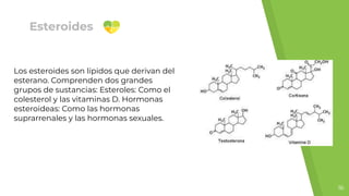 Esteroides
Los esteroides son lípidos que derivan del
esterano. Comprenden dos grandes
grupos de sustancias: Esteroles: Como el
colesterol y las vitaminas D. Hormonas
esteroideas: Como las hormonas
suprarrenales y las hormonas sexuales.
16
 