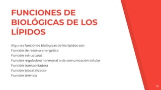 FUNCIONES DE
BIOLÓGICAS DE LOS
LÍPIDOS
Algunas funciones biológicas de los lípidos son:
Función de reserva energética
Función estructural,
Función reguladora hormonal o de comunicación celular
Función transportadora
Función biocatalizador
Función térmica
19
 