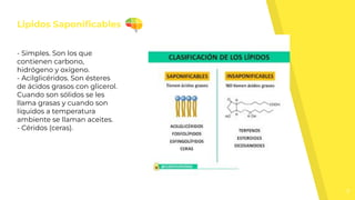 Lipidos Saponiﬁcables
7
- Simples. Son los que
contienen carbono,
hidrógeno y oxígeno.
- Acilglicéridos. Son ésteres
de ácidos grasos con glicerol.
Cuando son sólidos se les
llama grasas y cuando son
líquidos a temperatura
ambiente se llaman aceites.
- Céridos (ceras).
 