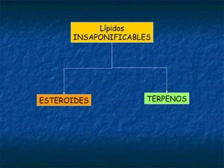 TERPENOS Lípidos INSAPONIFICABLES ESTEROIDES 