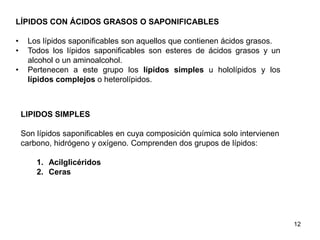LÍPIDOS CON ÁCIDOS GRASOS O SAPONIFICABLES
• Los lípidos saponificables son aquellos que contienen ácidos grasos.
• Todos los lípidos saponificables son esteres de ácidos grasos y un
alcohol o un aminoalcohol.
• Pertenecen a este grupo los lípidos simples u hololípidos y los
lípidos complejos o heterolípidos.
LIPIDOS SIMPLES
Son lípidos saponificables en cuya composición química solo intervienen
carbono, hidrógeno y oxígeno. Comprenden dos grupos de lípidos:
1. Acilglicéridos
2. Ceras
12
 