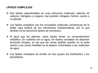 LÍPIDOS COMPLEJOS
 Son lípidos saponificables en cuya estructura molecular, además de
carbono, hidrógeno y oxígeno, hay también nitrógeno, fósforo, azufre o
un glúcido.
 Los lípidos complejos son las principales moléculas constitutivas de la
doble capa lipídica de las membranas citoplasmáticas, por lo que
también se los denomina lípidos de membrana.
 Al igual que los jabones, estos lípidos tienen un comportamiento
anfipático. En contacto con el agua, los lípidos complejos se disponen
formando bicapas, en las que las zonas lipófílas quedan en la parte
interior y las zonas hidrófilas en la exterior, enfrentadas a las moléculas
de agua.
 Los lípidos complejos se dividen en dos grupos los fosfolípidos y los
glucolípidos.
16
 