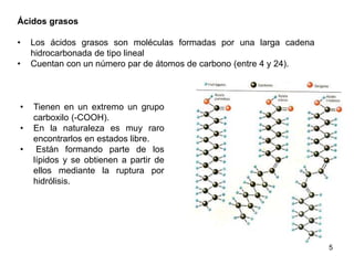 Ácidos grasos
• Los ácidos grasos son moléculas formadas por una larga cadena
hidrocarbonada de tipo lineal
• Cuentan con un número par de átomos de carbono (entre 4 y 24).
• Tienen en un extremo un grupo
carboxilo (-COOH).
• En la naturaleza es muy raro
encontrarlos en estados libre.
• Están formando parte de los
lípidos y se obtienen a partir de
ellos mediante la ruptura por
hidrólisis.
5
 