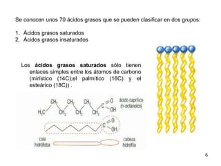 Se conocen unos 70 ácidos grasos que se pueden clasificar en dos grupos:
1. Ácidos grasos saturados
2. Ácidos grasos insaturados
Los ácidos grasos saturados sólo tienen
enlaces simples entre los átomos de carbono
(mirístico (14C);el palmítico (16C) y el
esteárico (18C)) .
6
 