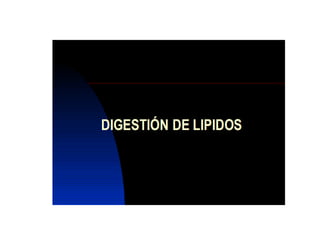 Lipidos23 131212074932-phpapp01