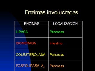 Lipidos23 131212074932-phpapp01