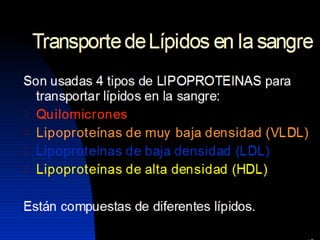 Lipidos23 131212074932-phpapp01