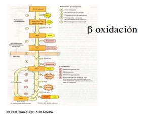 CONDE SARANGO ANA MARIA

 