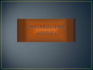 Lipidos 23