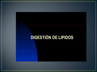Lipidos 23