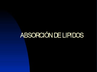 Lipidos 23