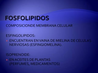 COMPOSICIONDE MEMBRANA CELULAR

ESFINGOLIPIDOS:
 ENCUENTRAN EN VAINA DE MIELINA DE CELULAS
  NERVIOSAS (ESFINGIOMELINA).

ISOPRENOIDE:
 EN ACEITES DE PLANTAS
  (PERFUMES, MEDICAMENTOS)
 