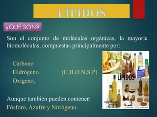 ¿QUÉ SON?
Son el conjunto de moléculas orgánicas, la mayoría
biomoléculas, compuestas principalmente por:







Carbono
Hidrógeno
Oxígeno,

(C,H,O N,S,P)

Aunque también pueden contener:
Fósforo, Azufre y Nitrógeno.

 