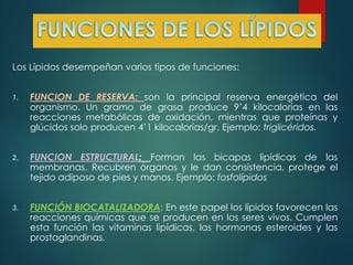 Los Lípidos desempeñan varios tipos de funciones:
1.

FUNCION DE RESERVA: son la principal reserva energética del
organismo. Un gramo de grasa produce 9’4 kilocalorías en las
reacciones metabólicas de oxidación, mientras que proteínas y
glúcidos solo producen 4’1 kilocalorías/gr. Ejemplo: triglicéridos.

2.

FUNCION ESTRUCTURAL: Forman las bicapas lipídicas de las
membranas. Recubren órganos y le dan consistencia, protege el
tejido adiposo de pies y manos. Ejemplo: fosfolípidos

3.

FUNCIÓN BIOCATALIZADORA: En este papel los lípidos favorecen las
reacciones químicas que se producen en los seres vivos. Cumplen
esta función las vitaminas lipídicas, las hormonas esteroides y las
prostaglandinas.

 