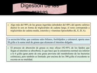 Digestión de las
grasas
o Algo más del 90% de las grasas ingeridas (alrededor del 40% del aporte calórico
diario) lo son en forma de triglicéridos de cadena larga; el resto corresponde a
triglicéridos de cadena media, esteroles y vitaminas liposolubles (K, E, D, A).

La secreción biliar, que contiene sales biliares, fosfolípidos y colesterol, aporta unos
50 g/día a la suma total de grasas que alcanzan el intestino delgado.
o El proceso de absorción de grasas es muy eficaz (92-95% de los lípidos que
llegan al intestino se absorben), lo que hace que la esteatorrea normal sea inferior
a lo 6 g/día (gran parte de esta grasa proviene del metabolismo de las bacterias
colónicas), pero también es limitado; por encima de los 300 g/día el excedente se
excreta en su totalidad.

 